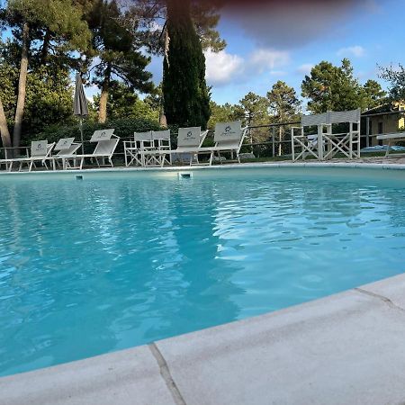 Tuscany Relax H&H - Helly House Apartment San Vivaldo Ngoại thất bức ảnh